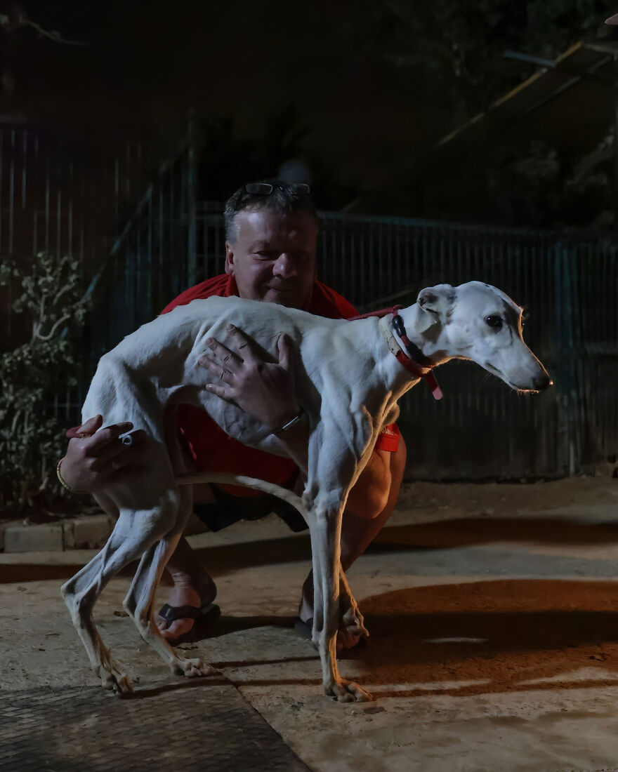 After Spending 10 Days In A Shelter With 500 Dogs, I Decided To Bring Some Of These Rescues With Me Back To The US After Spending 10 Days In A Shelter With 500 Dogs, I Decided To Bring Some Of These Rescues With Me Back To The US