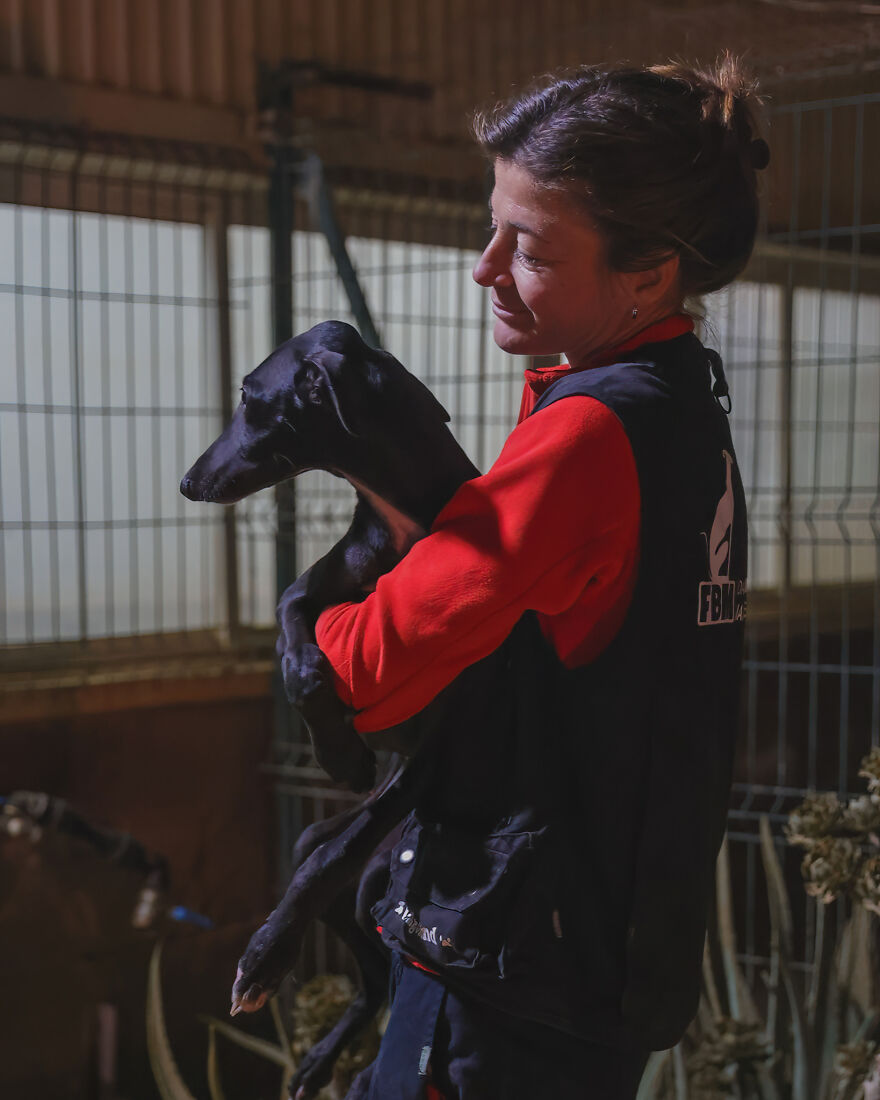 After Spending 10 Days In A Shelter With 500 Dogs, I Decided To Bring Some Of These Rescues With Me Back To The US After Spending 10 Days In A Shelter With 500 Dogs, I Decided To Bring Some Of These Rescues With Me Back To The US