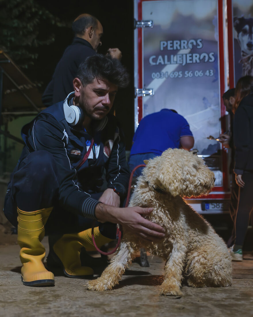 After Spending 10 Days In A Shelter With 500 Dogs, I Decided To Bring Some Of These Rescues With Me Back To The US After Spending 10 Days In A Shelter With 500 Dogs, I Decided To Bring Some Of These Rescues With Me Back To The US