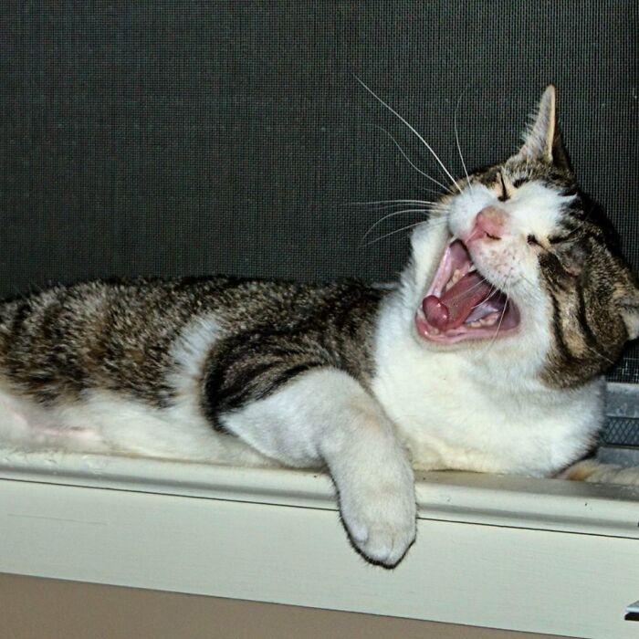Yawn...