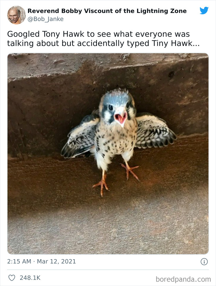 Tiny Hawk