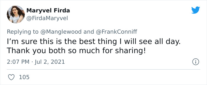 Twitter User Shared 14 Historical Photos Of Cats Chilling In Their Tiny Hammocks Aboard Naval Ships Twitter User Shared 14 Historical Photos Of Cats Chilling In Their Tiny Hammocks Aboard Naval Ships