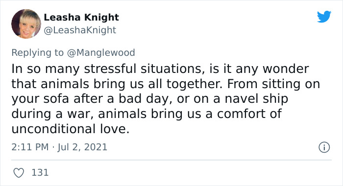 Twitter User Shared 14 Historical Photos Of Cats Chilling In Their Tiny Hammocks Aboard Naval Ships Twitter User Shared 14 Historical Photos Of Cats Chilling In Their Tiny Hammocks Aboard Naval Ships