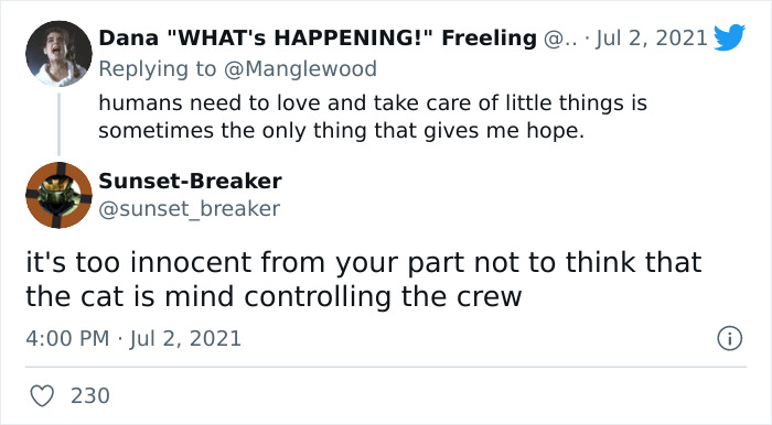 Twitter User Shared 14 Historical Photos Of Cats Chilling In Their Tiny Hammocks Aboard Naval Ships Twitter User Shared 14 Historical Photos Of Cats Chilling In Their Tiny Hammocks Aboard Naval Ships