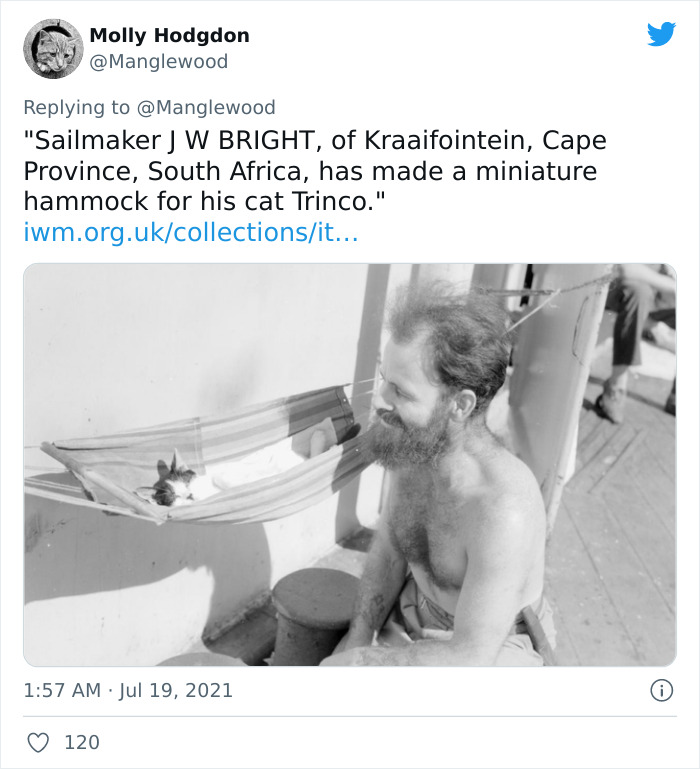 Twitter User Shared 14 Historical Photos Of Cats Chilling In Their Tiny Hammocks Aboard Naval Ships Twitter User Shared 14 Historical Photos Of Cats Chilling In Their Tiny Hammocks Aboard Naval Ships