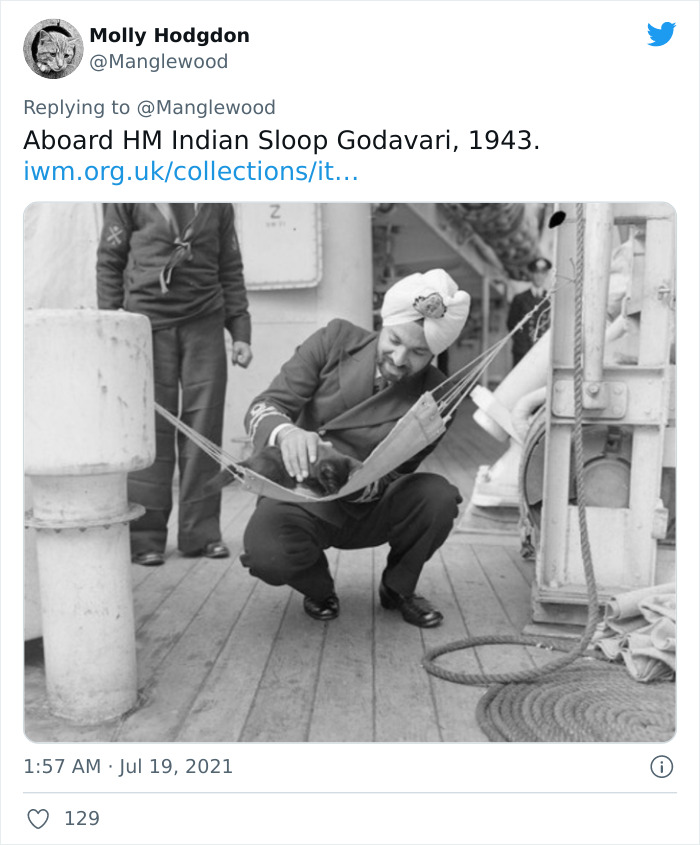Twitter User Shared 14 Historical Photos Of Cats Chilling In Their Tiny Hammocks Aboard Naval Ships Twitter User Shared 14 Historical Photos Of Cats Chilling In Their Tiny Hammocks Aboard Naval Ships