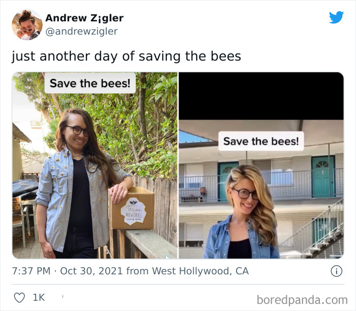 "Save The Bees!" Meme