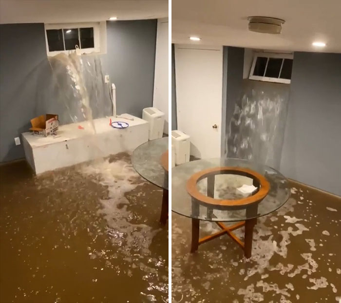 Get A Basement Apartment In New York They Said. It'll Be Fun They Said