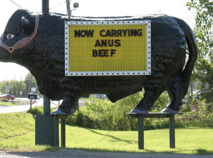 I Think It Was Meant To Be Angus 😅