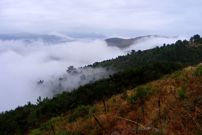 The Usual Convection Fog Over Douro River, Portugal