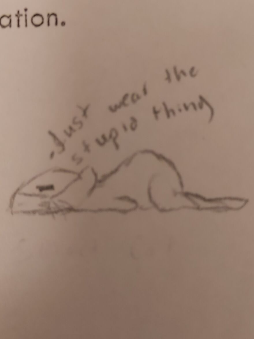 Depressed Cats: The Thing I Doodle