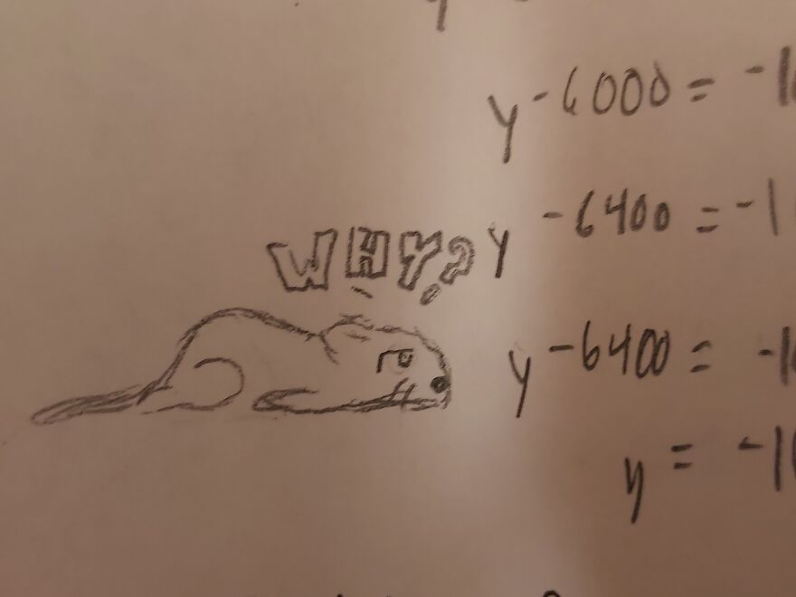 Depressed Cats: The Thing I Doodle