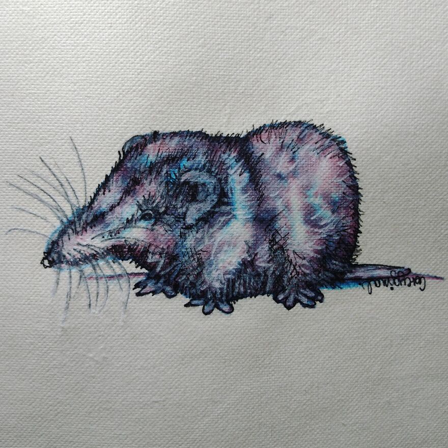 I Gave Myself An Extra Challenge For This Year's Inktober...