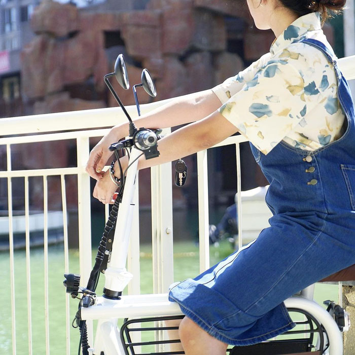 The Japanese Have Invented A Pet-Friendly E-Bike Called A Mopet, And It's Going To Make Their Transportation Much Easier