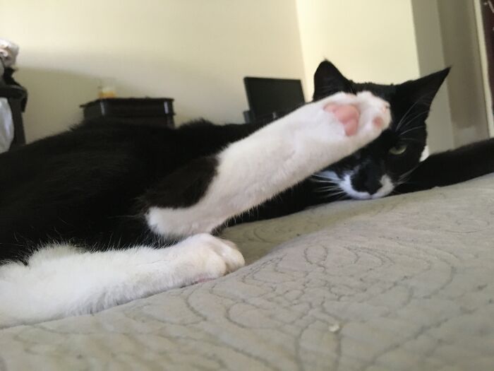 Floki Didn’t Want His Picture Taken.