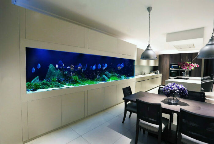 I Love The Really Ginormous Fish Tank In Wall Style Places. P.s Not My Picture