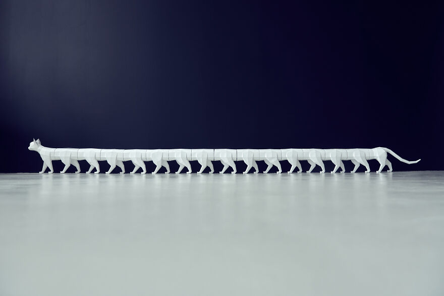 Assembled A 5 Meter Cat From Paper, 2 Months Of Work