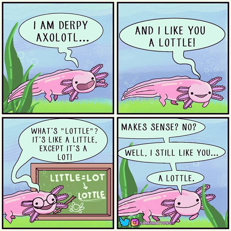 Say Hello To Derpy Axolotl