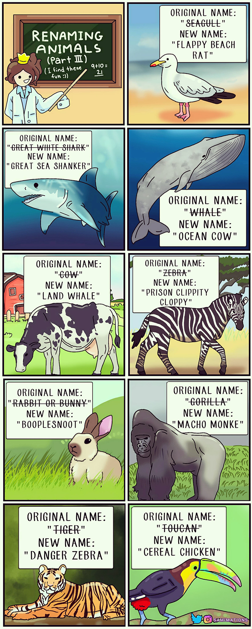 Renaming Animals Part III
