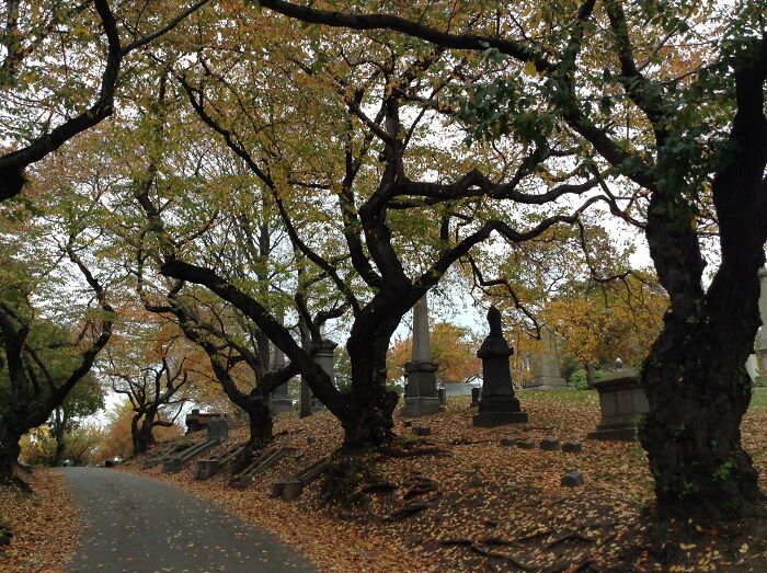 Green-Wood Cemetery, Brooklyn
