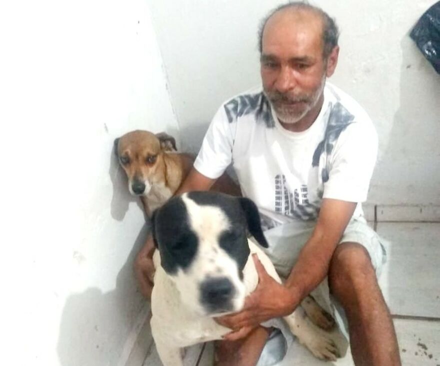 Two Loyal Dogs Stand By Their Sick Owner, Personnel Decides To Bring Them Along In An Ambulance