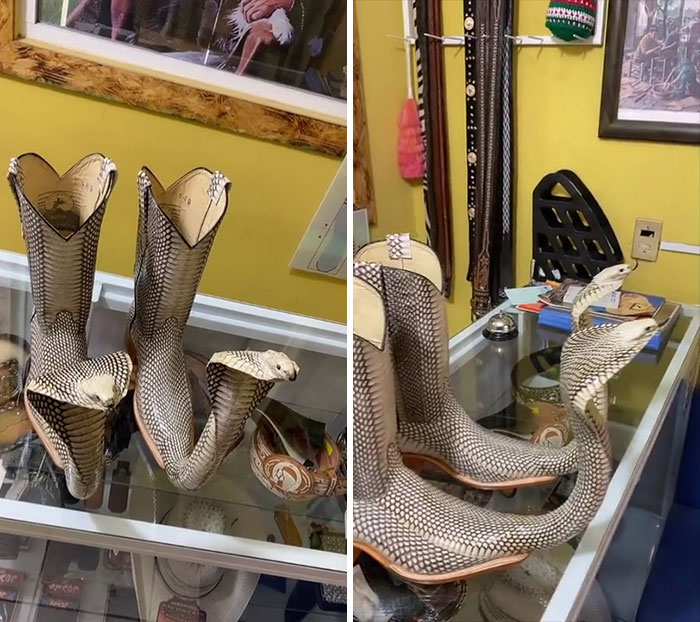 Snakeskin And Head Boots