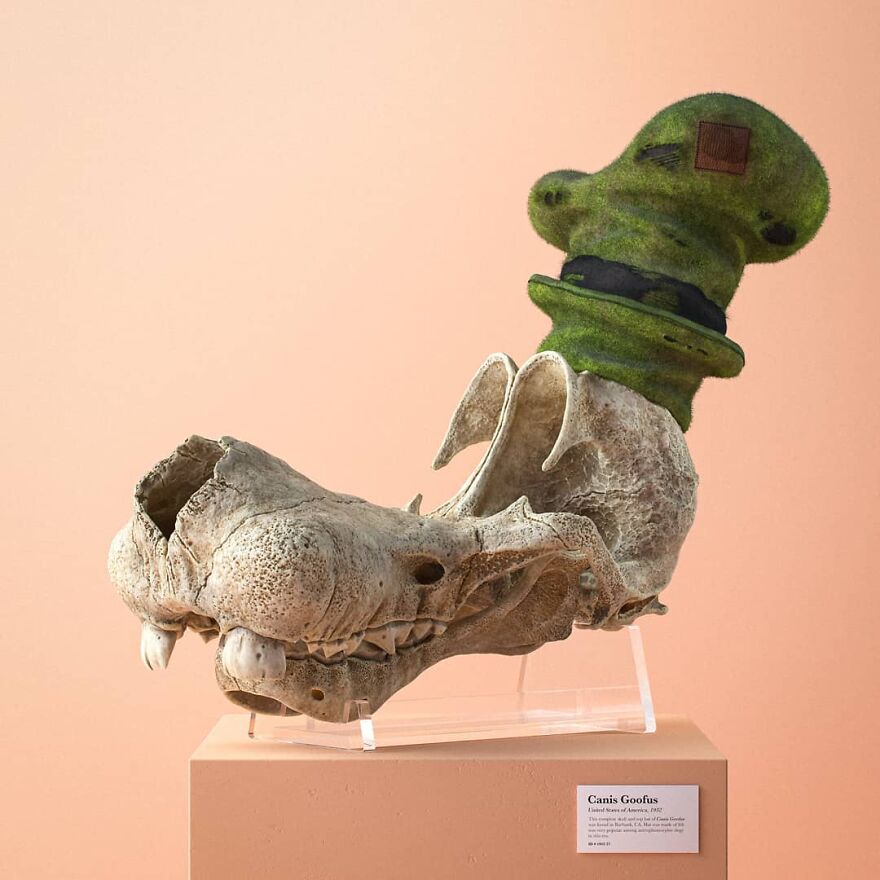 Canis Goofus