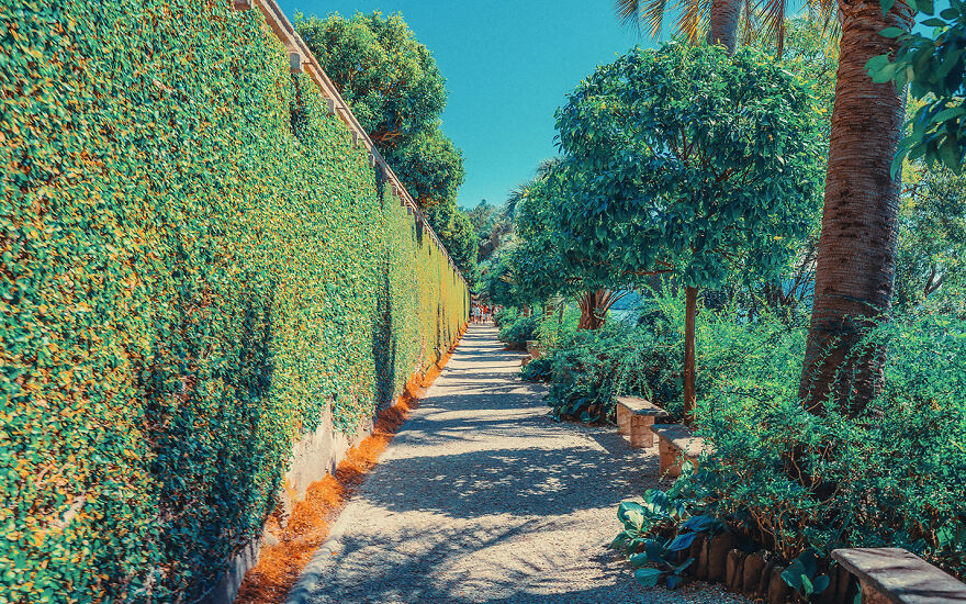 Photos I Took Inspired By Studio Ghibli Photos I Took Inspired By Studio Ghibli