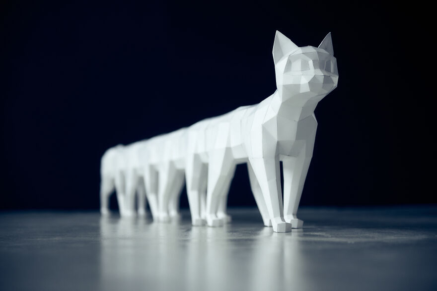 Assembled A 5 Meter Cat From Paper, 2 Months Of Work