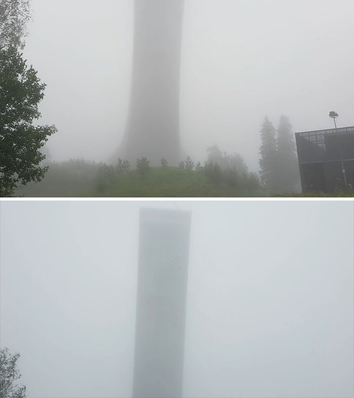 Just A Casual Stroll Through The Woods