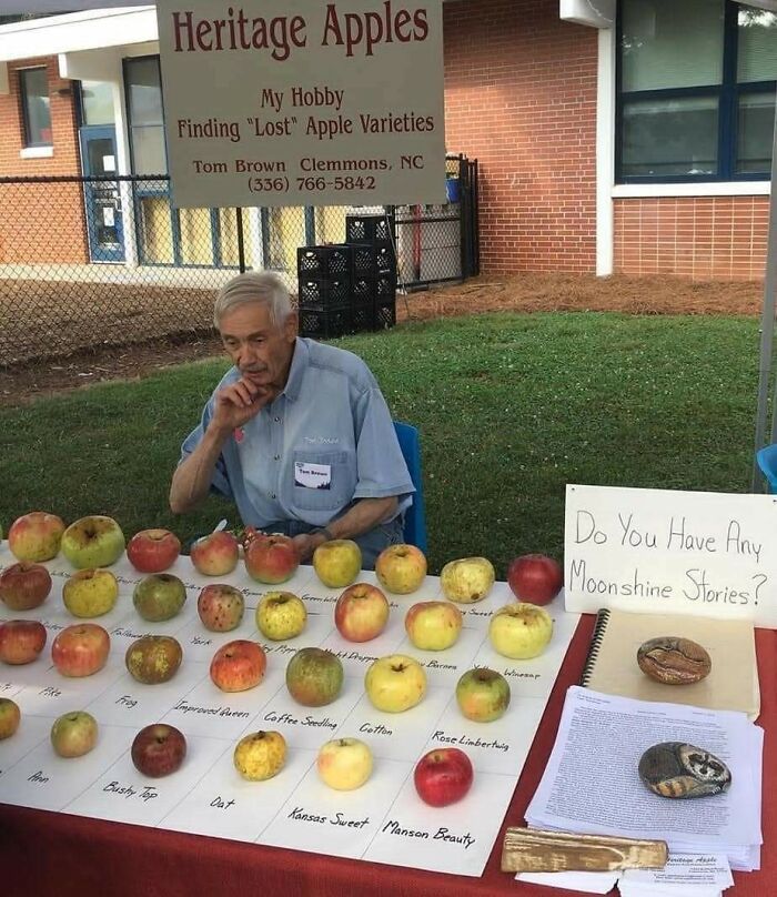 El tipo de la imagen colecciona variedades de manzanas perdidas