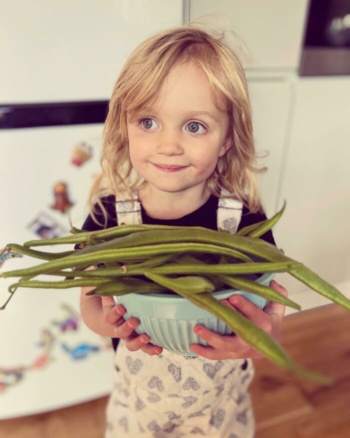 Mi hija de tres años está orgullosa de su primera cosecha de frijoles que ayudó a sembrar, regar, plantar y construir el soporte