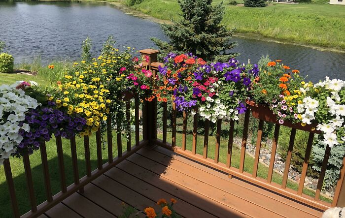I Know It’s Nothing Too Spectacular, But I Am In Love With How My Deck Flowers Turned Out