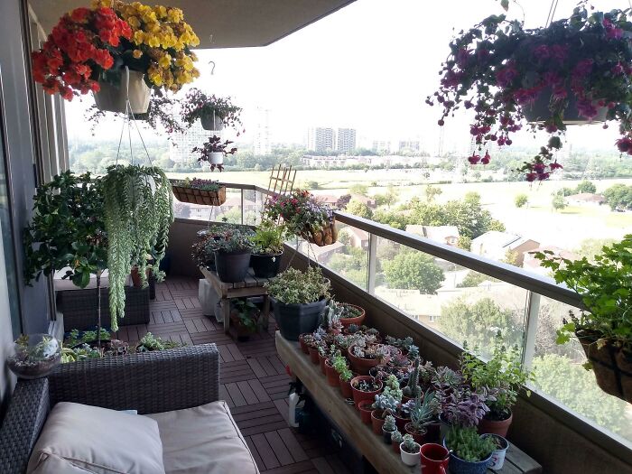 Some Guys Have A Man Cave. I Have A Garden Balcony