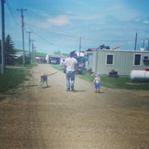 phoenixonacid_1 avatar