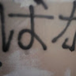 kyuubinobakamaru avatar