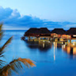 diamondintheruff avatar