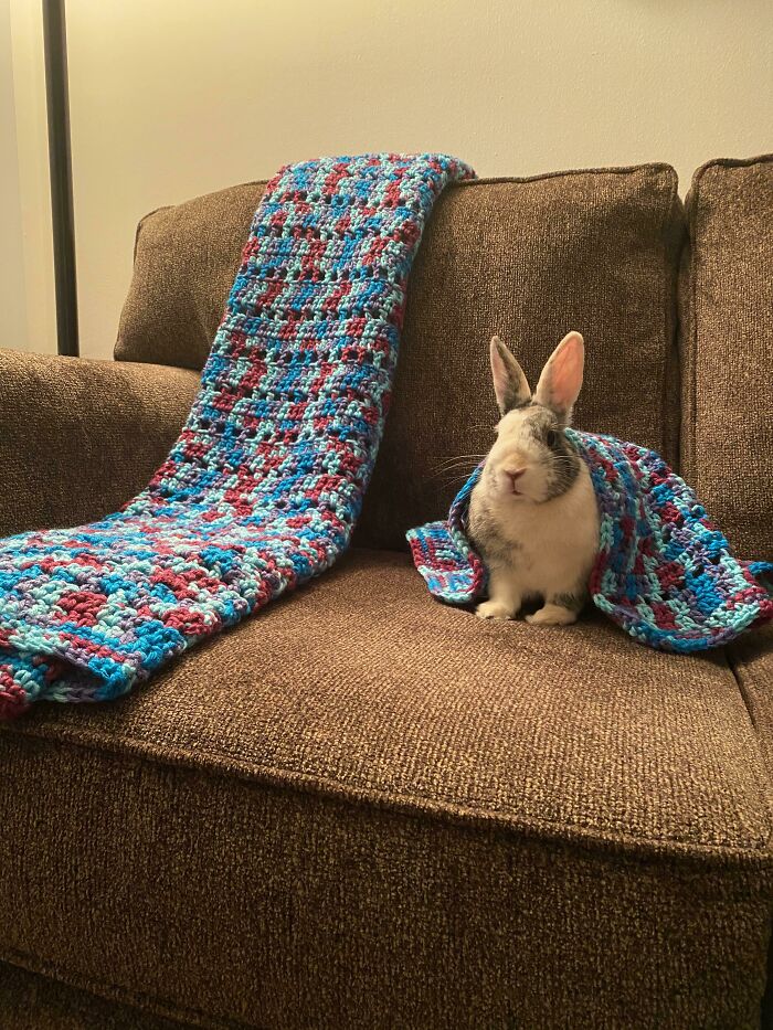 My Friend Told Me She Was Going To Crochet A Blanket For Me. She Surprised Me And Made A Matching One For My Rabbit