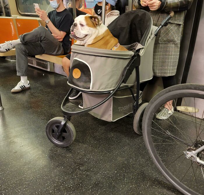 This Guy Commutes