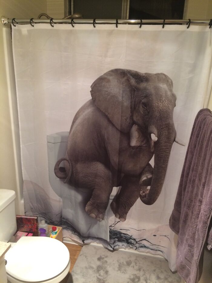 So We're Doing Shower Curtains?