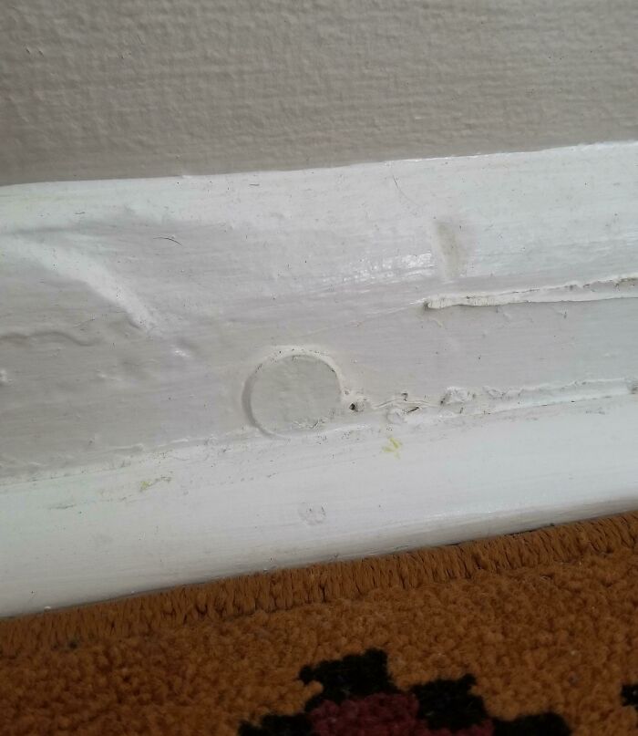 The People Who Renovated My Apartment Were So Lazy That They Painted Straight Over A Penny On The Molding