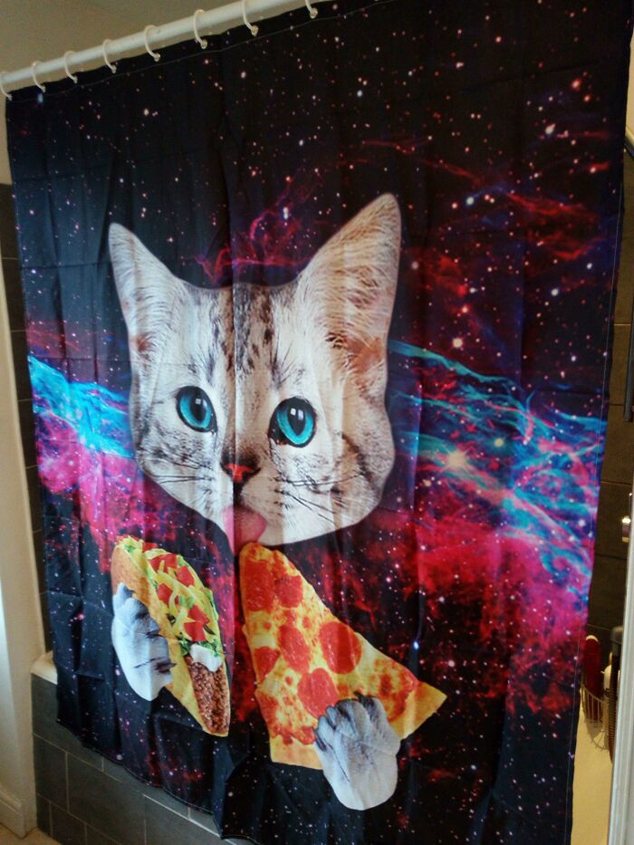 I Was In Charge Of Buying A New Shower Curtain Today And Purchased The Best One In The World. So Disagrees