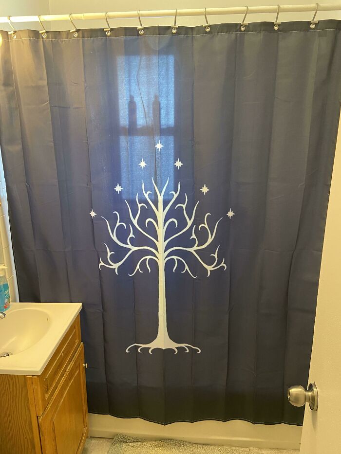 This Is What Happens When I Am Put In Charge Of Getting A New Shower Curtain