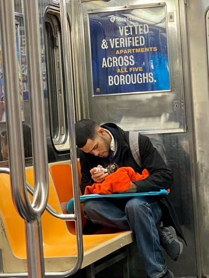 A Guy Feeds A Kitten In The Subway