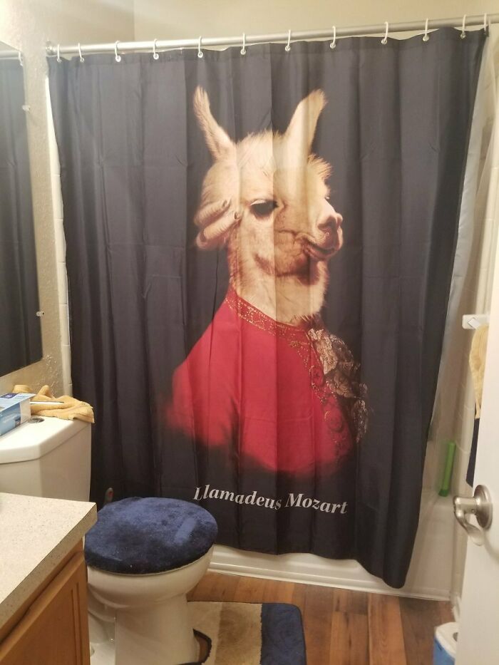 This Shower Curtain