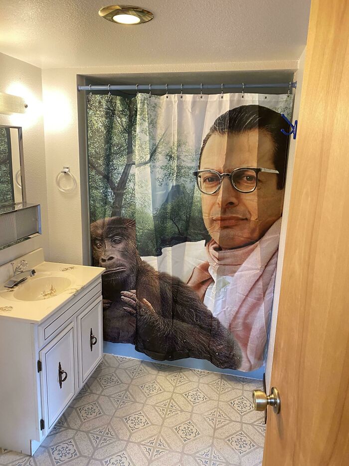 This Shower Curtain I Saw In An Open House (Pre-Pandemic)