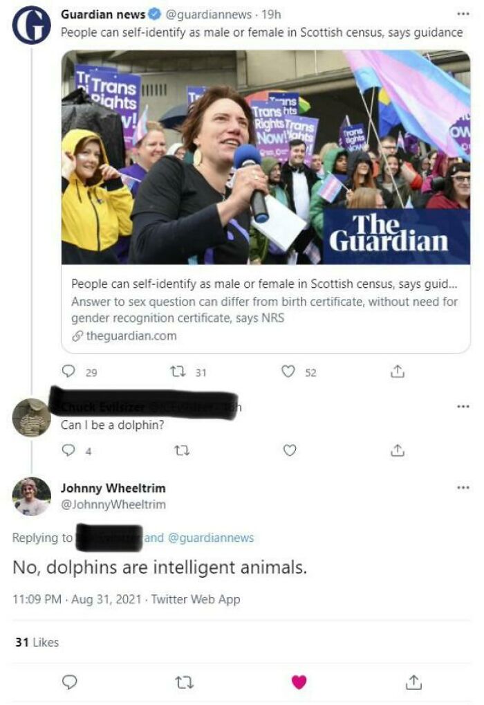 Dolphins Are Intelligent Animals
