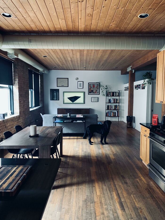 Chicago Bachelor Pad For Me And The Pup