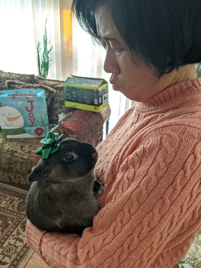 My Mom Loves Holding My Bunny So I Brought Her Over For Christmas
