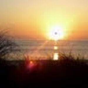 leonasmallwood avatar